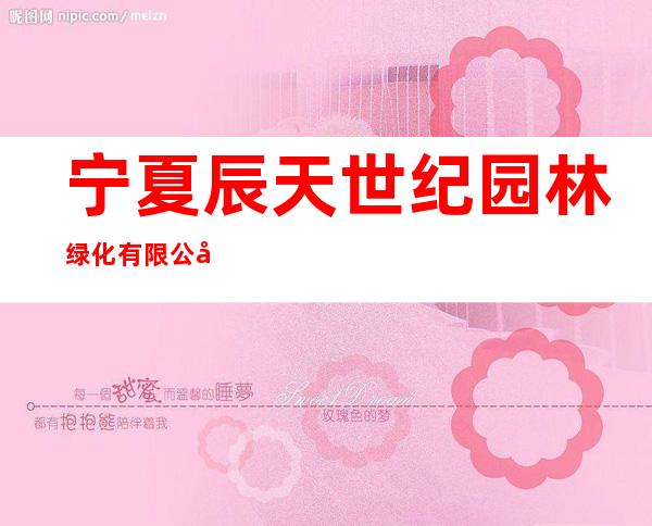 宁夏辰天世纪园林绿化有限公司